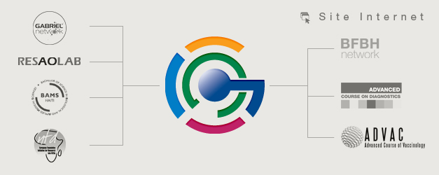 Globe Network